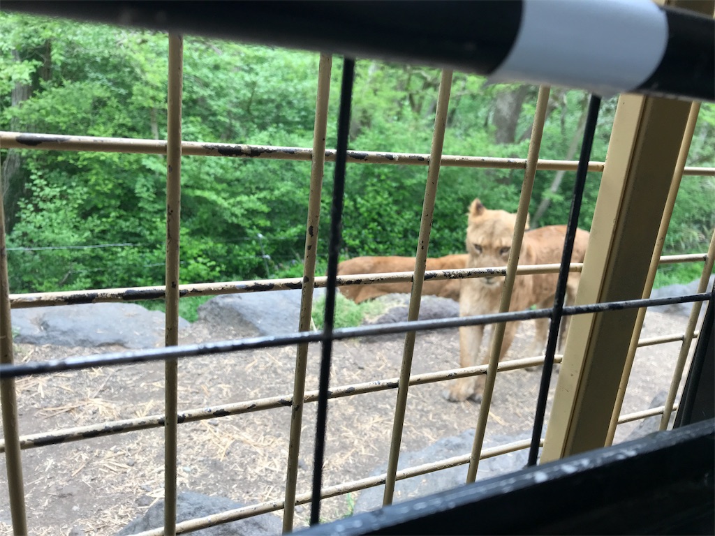 f:id:happy-rice-factory:20190516170941j:image f:id:happy-rice-factory:20190516170941j:image