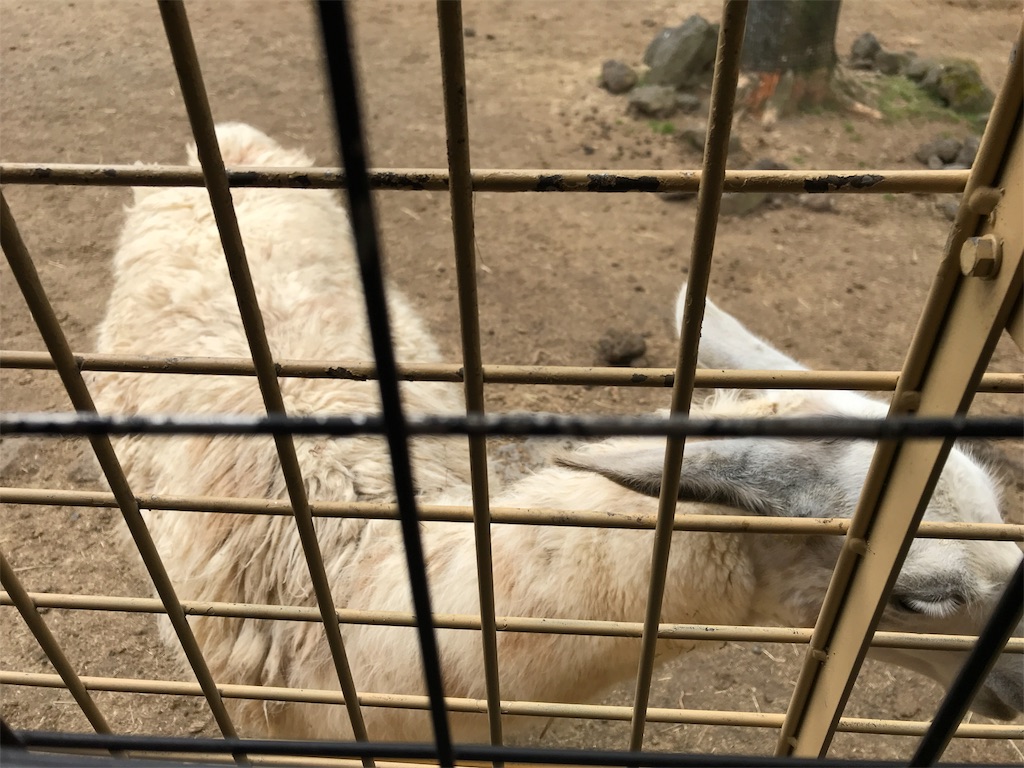 f:id:happy-rice-factory:20190516170957j:image f:id:happy-rice-factory:20190516170957j:image