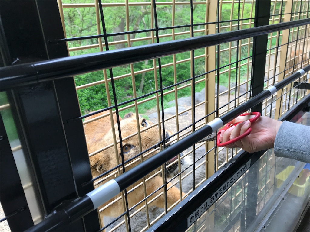 f:id:happy-rice-factory:20190516171011j:image f:id:happy-rice-factory:20190516171011j:image