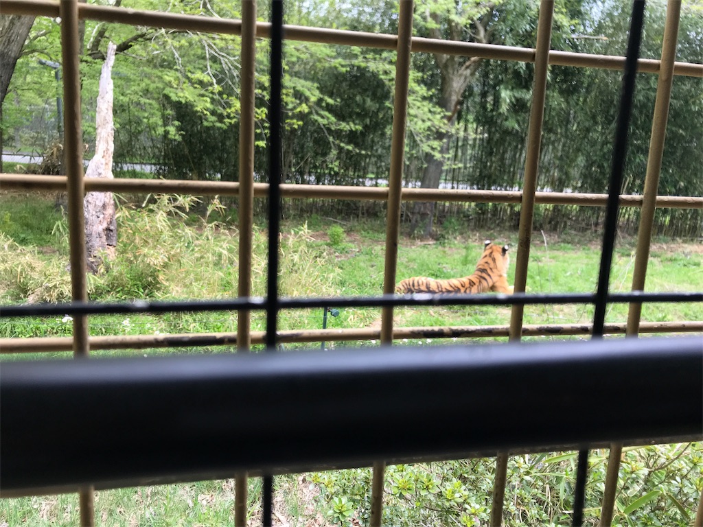 f:id:happy-rice-factory:20190516173008j:image f:id:happy-rice-factory:20190516173008j:image