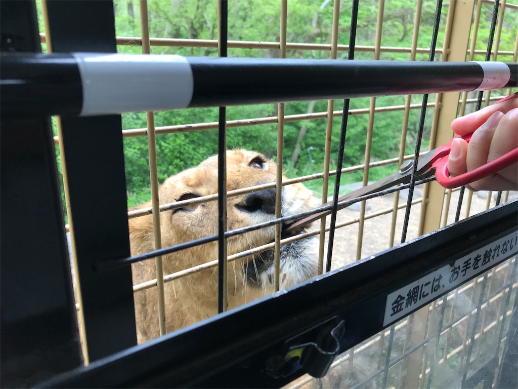 f:id:happy-rice-factory:20190516173011j:image f:id:happy-rice-factory:20190516173011j:image