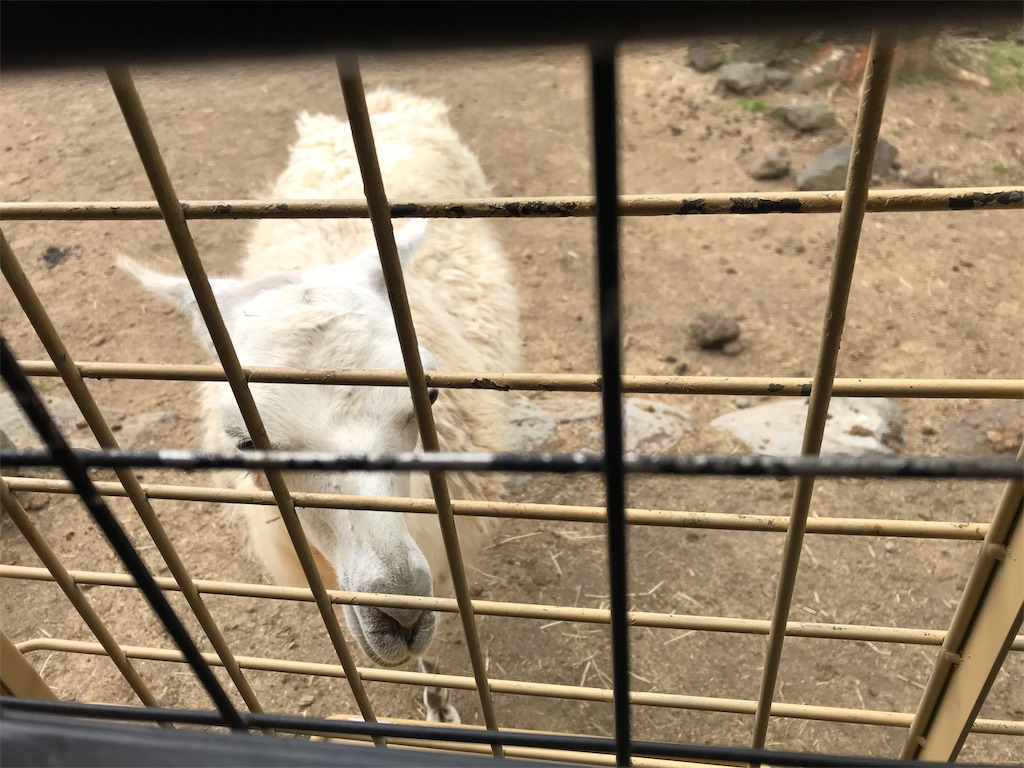 f:id:happy-rice-factory:20190516174407j:image f:id:happy-rice-factory:20190516174407j:image