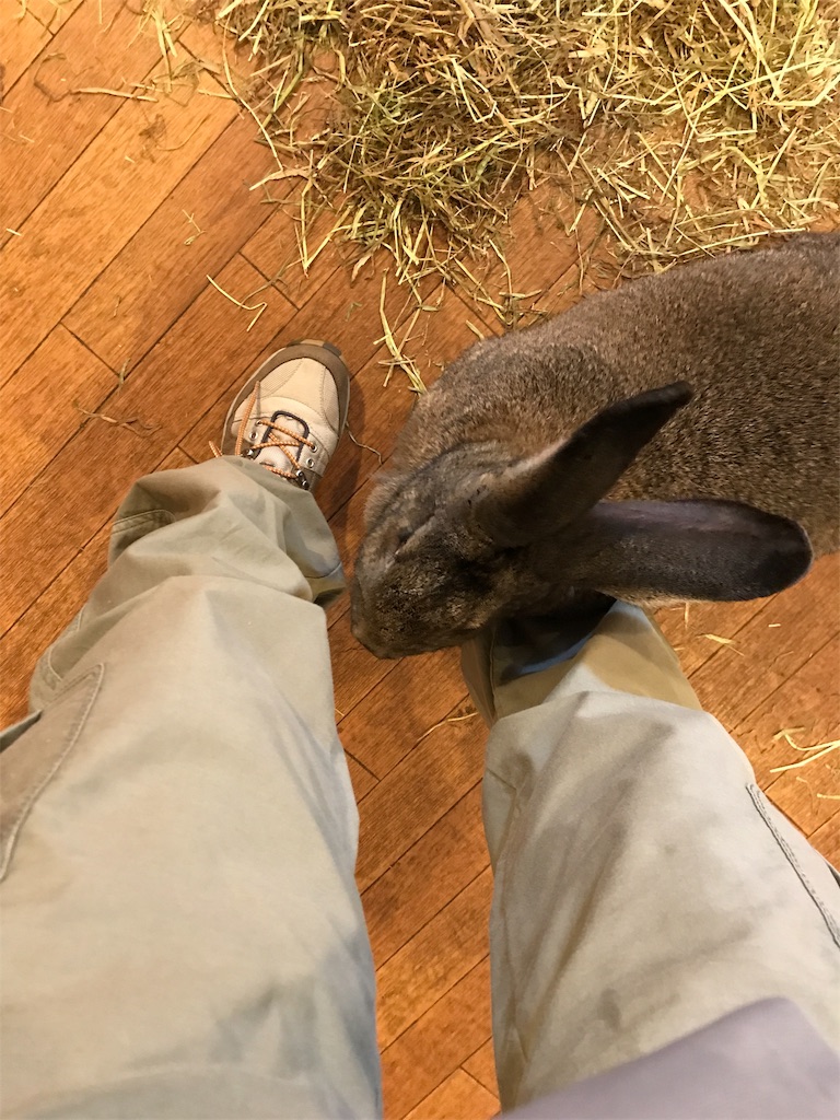 f:id:happy-rice-factory:20190517023942j:image f:id:happy-rice-factory:20190517023942j:image