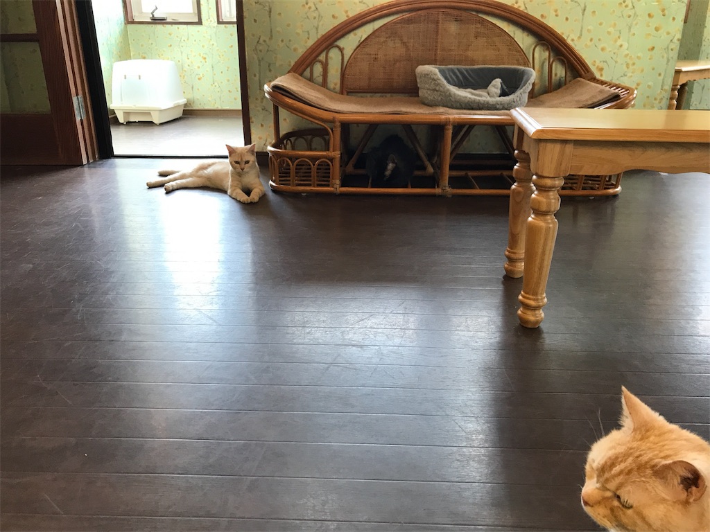 f:id:happy-rice-factory:20190517023945j:image f:id:happy-rice-factory:20190517023945j:image