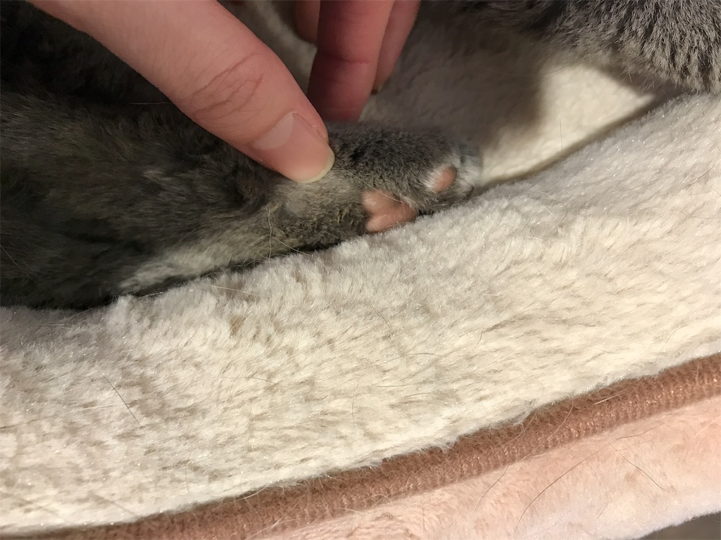 f:id:happy-rice-factory:20190517023956j:image f:id:happy-rice-factory:20190517023956j:image