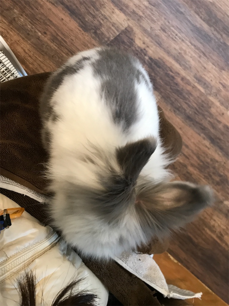 f:id:happy-rice-factory:20190517024005j:image f:id:happy-rice-factory:20190517024005j:image