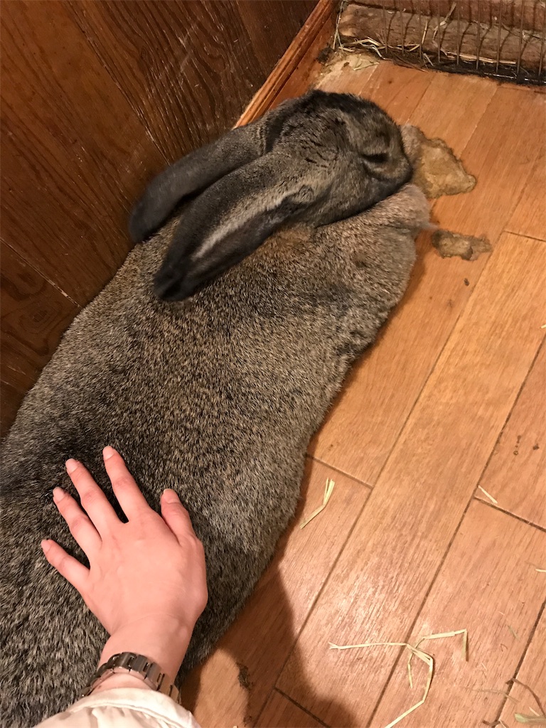 f:id:happy-rice-factory:20190517024008j:image f:id:happy-rice-factory:20190517024008j:image