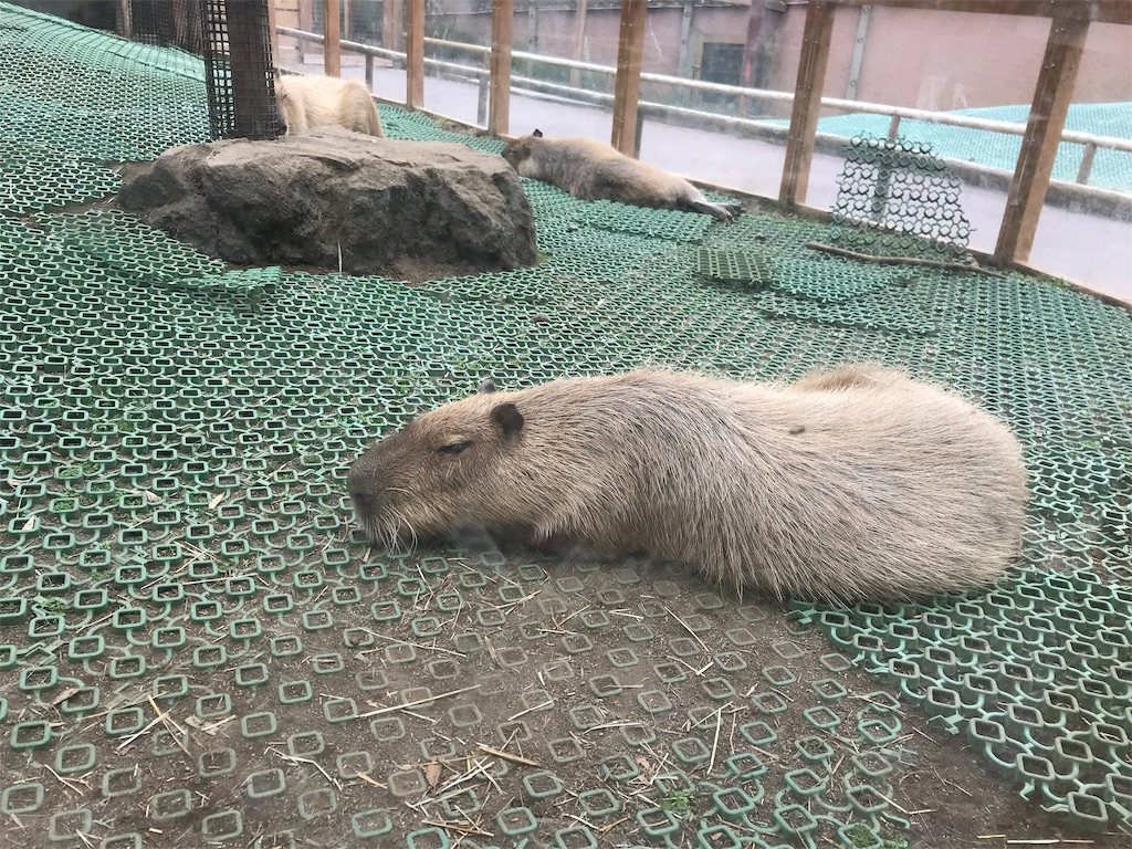 f:id:happy-rice-factory:20190517024014j:image f:id:happy-rice-factory:20190517024014j:image