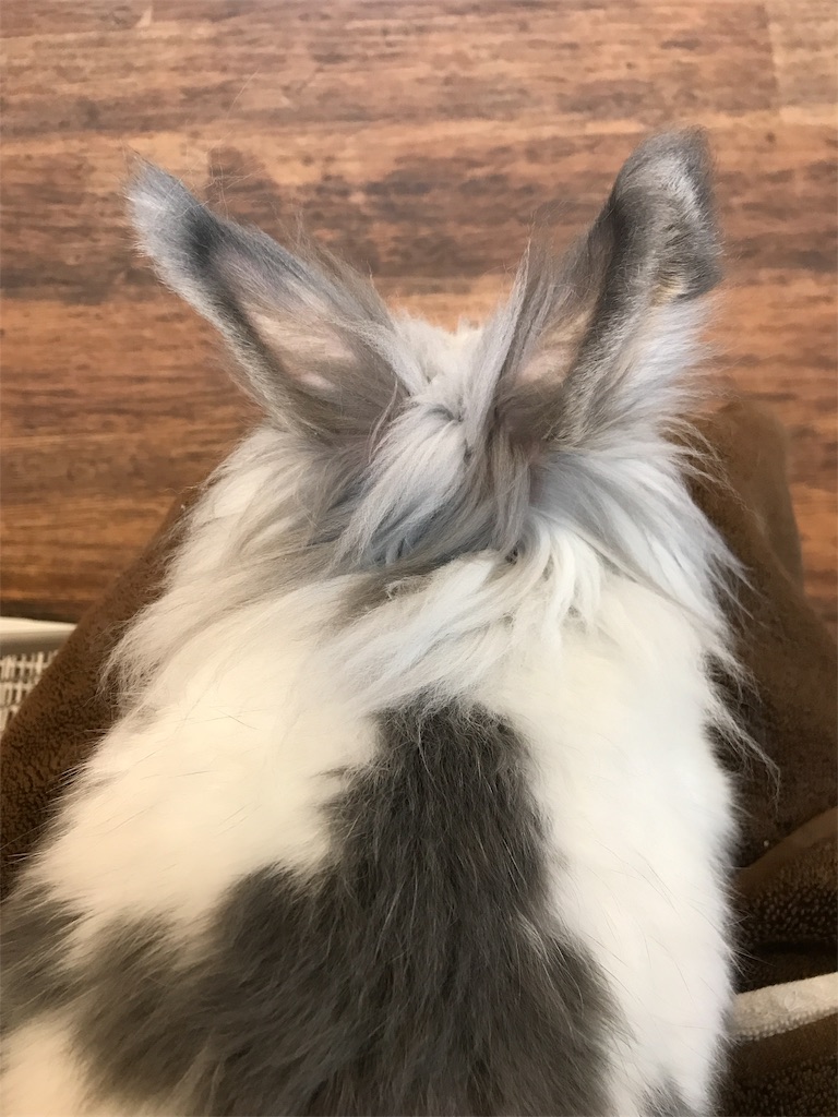 f:id:happy-rice-factory:20190517024018j:image f:id:happy-rice-factory:20190517024018j:image