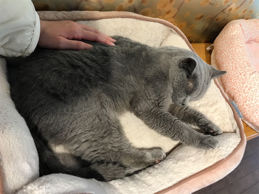 f:id:happy-rice-factory:20190517024021j:image f:id:happy-rice-factory:20190517024021j:image