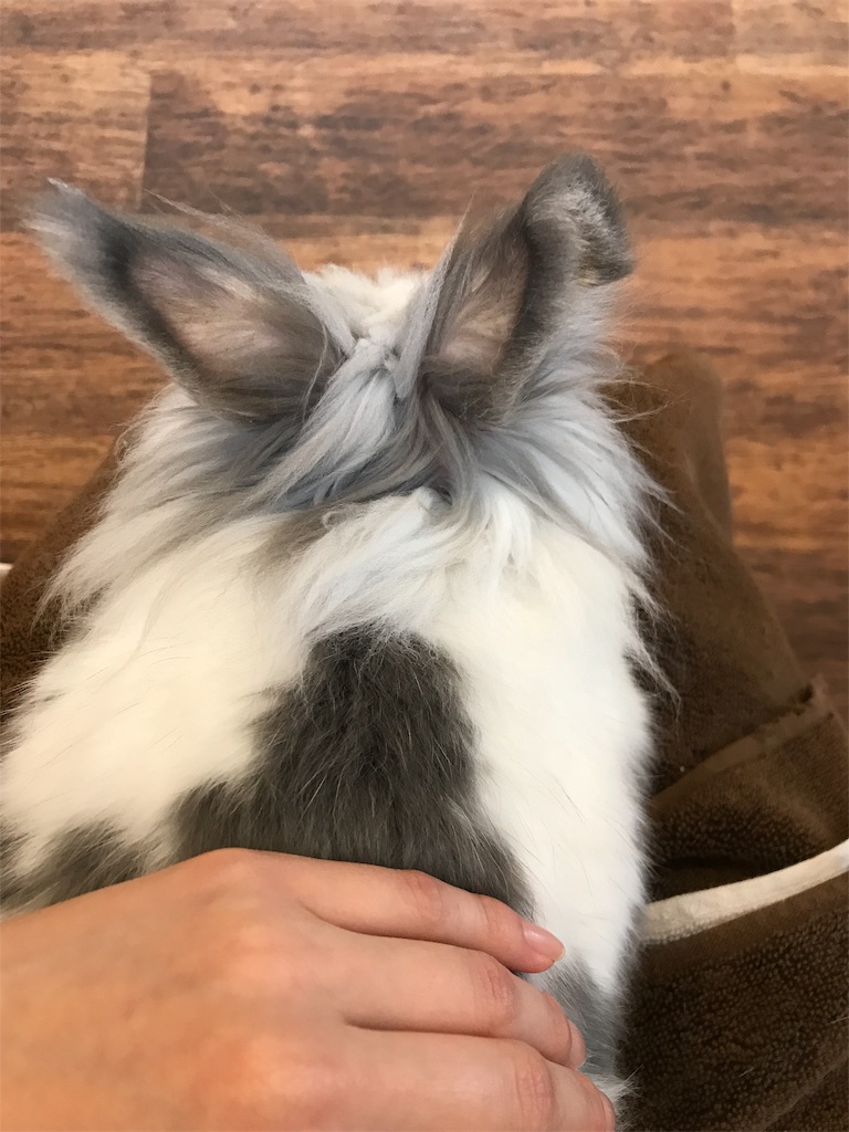 f:id:happy-rice-factory:20190517024024j:image f:id:happy-rice-factory:20190517024024j:image