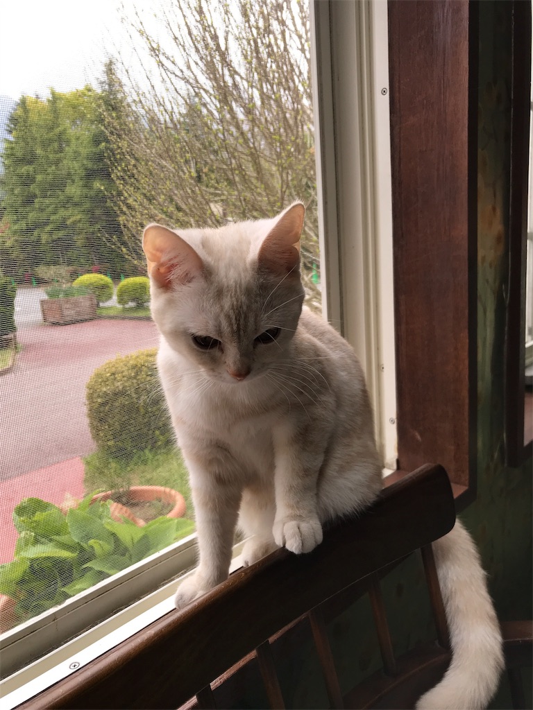 f:id:happy-rice-factory:20190517024031j:image f:id:happy-rice-factory:20190517024031j:image