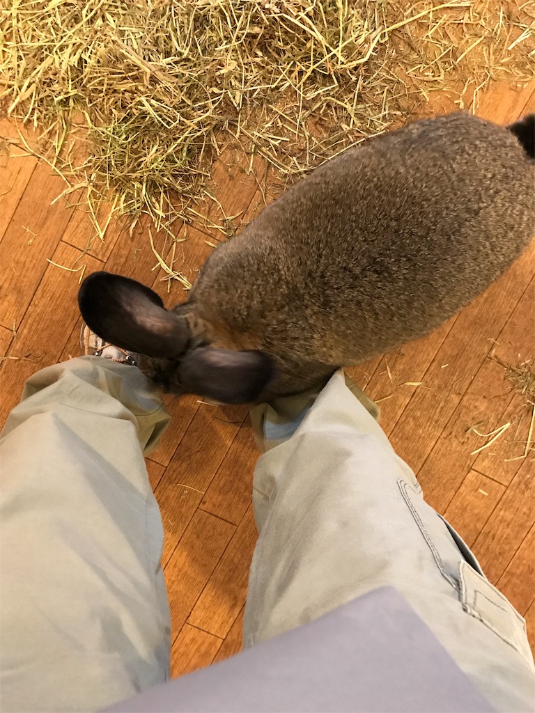 f:id:happy-rice-factory:20190517024038j:image f:id:happy-rice-factory:20190517024038j:image