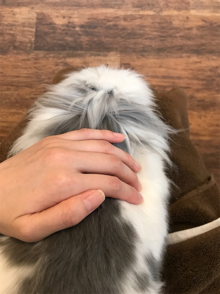 f:id:happy-rice-factory:20190517031214j:image f:id:happy-rice-factory:20190517031214j:image