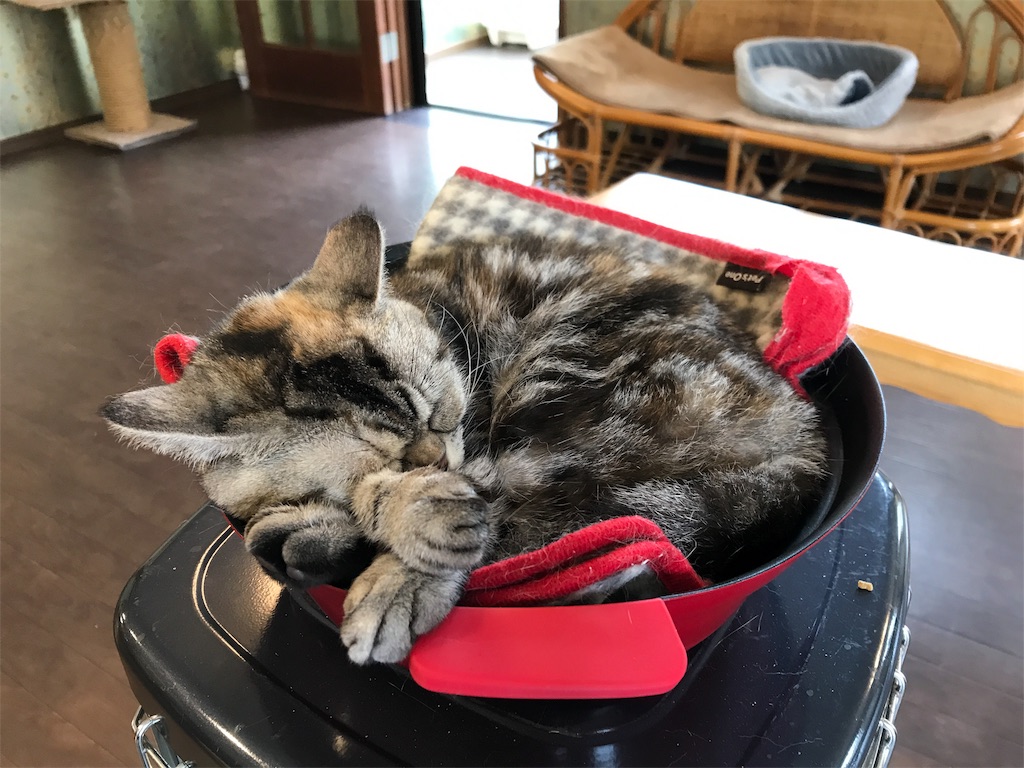 f:id:happy-rice-factory:20190517031224j:image f:id:happy-rice-factory:20190517031224j:image