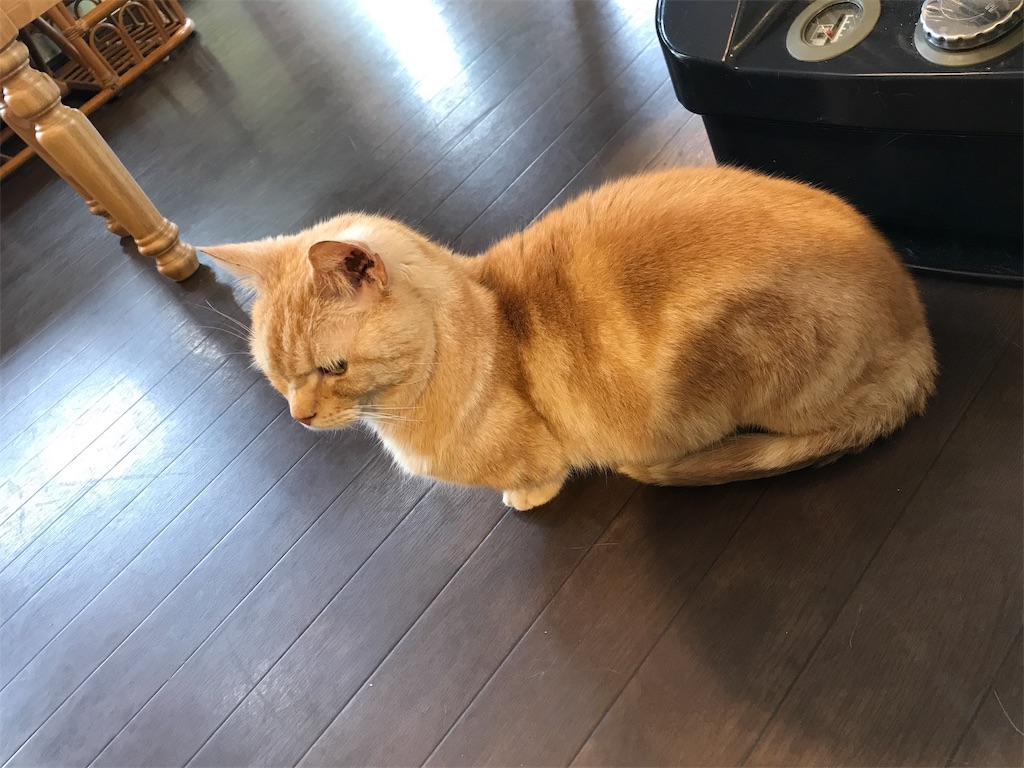 f:id:happy-rice-factory:20190517031228j:image f:id:happy-rice-factory:20190517031228j:image