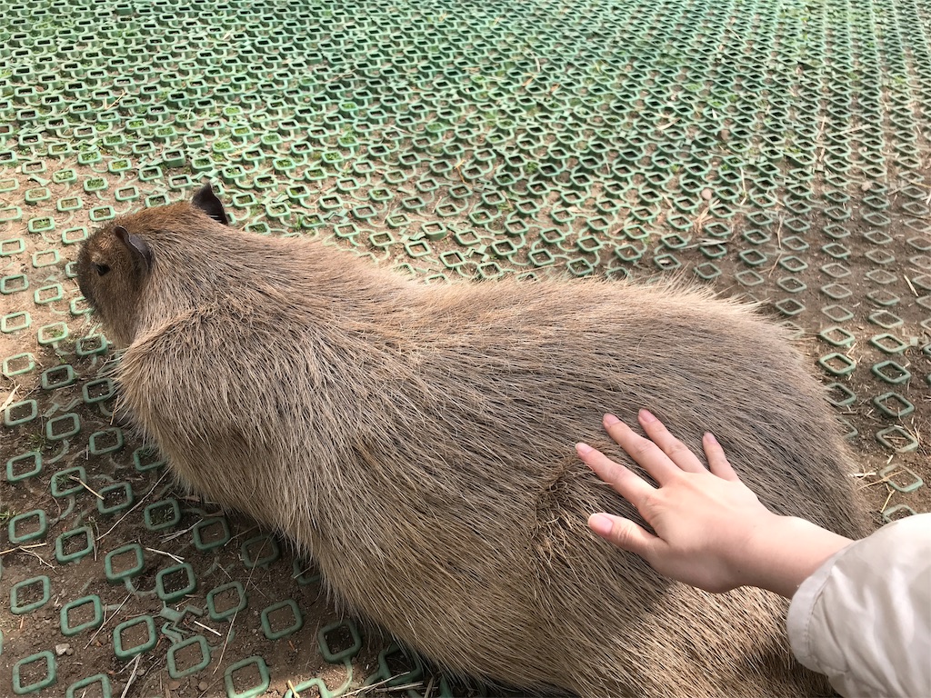 f:id:happy-rice-factory:20190517031311j:image f:id:happy-rice-factory:20190517031311j:image