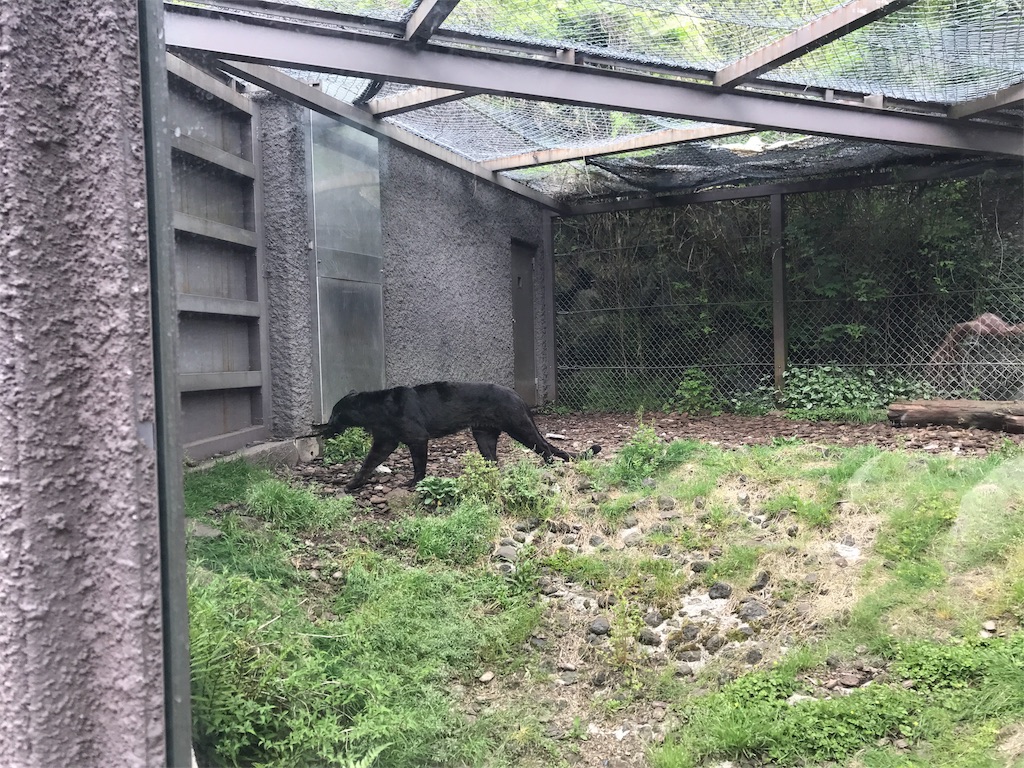 f:id:happy-rice-factory:20190517031323j:image f:id:happy-rice-factory:20190517031323j:image