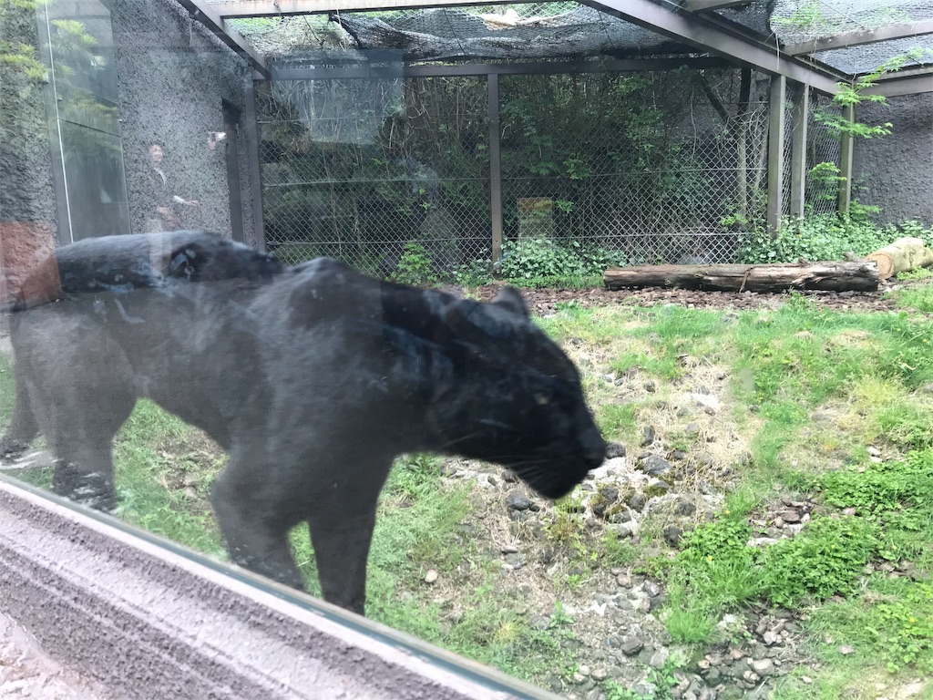 f:id:happy-rice-factory:20190517031334j:image f:id:happy-rice-factory:20190517031334j:image