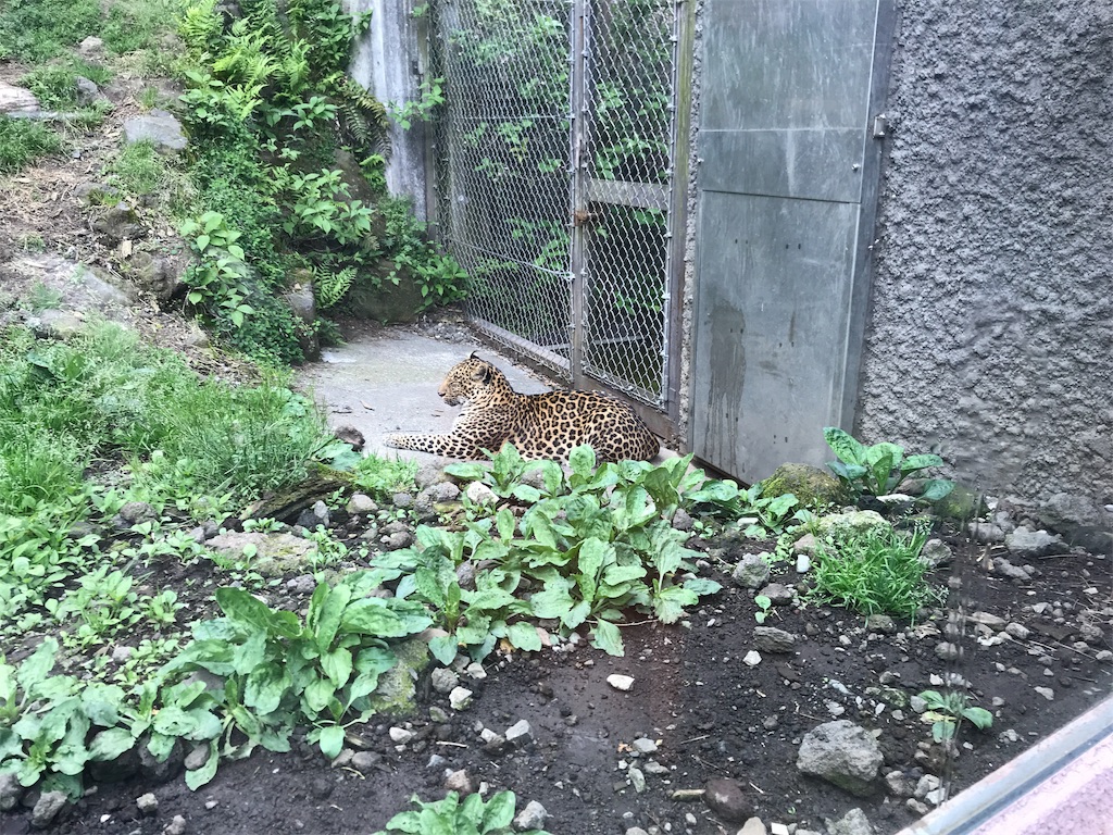 f:id:happy-rice-factory:20190517031343j:image f:id:happy-rice-factory:20190517031343j:image