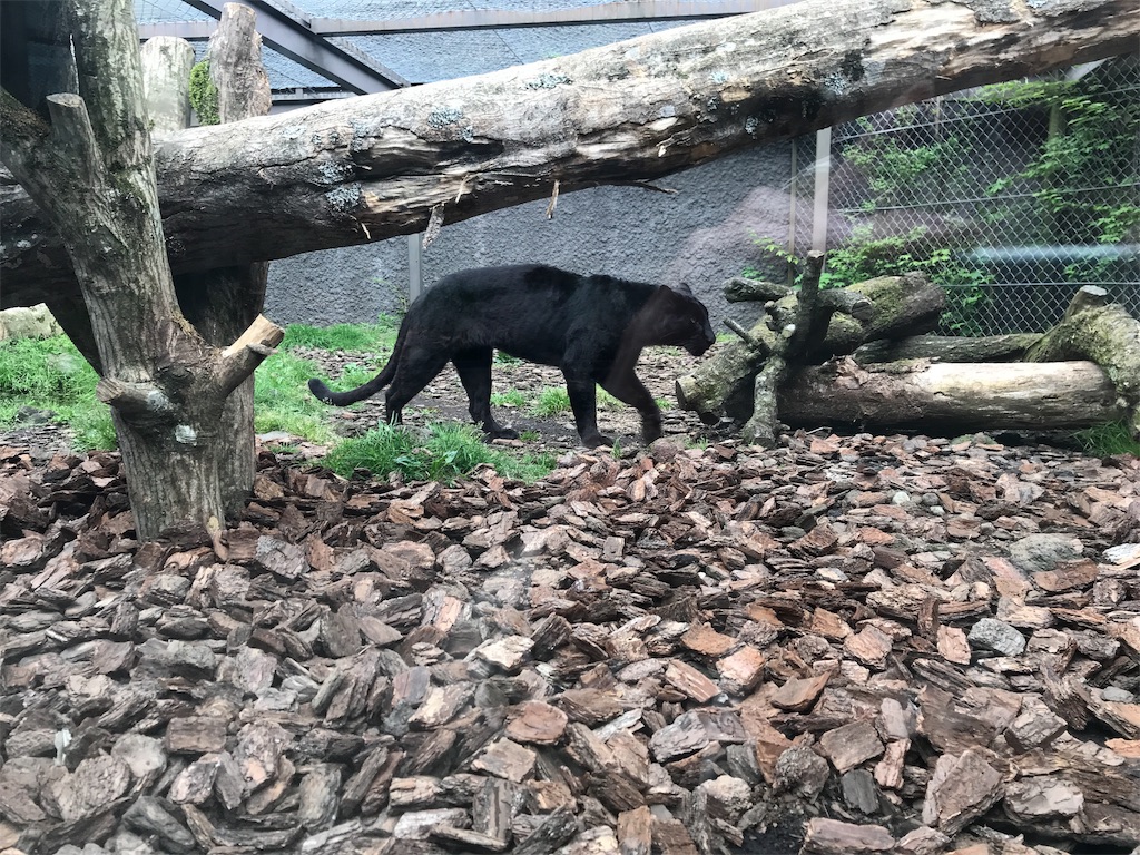 f:id:happy-rice-factory:20190517031356j:image f:id:happy-rice-factory:20190517031356j:image