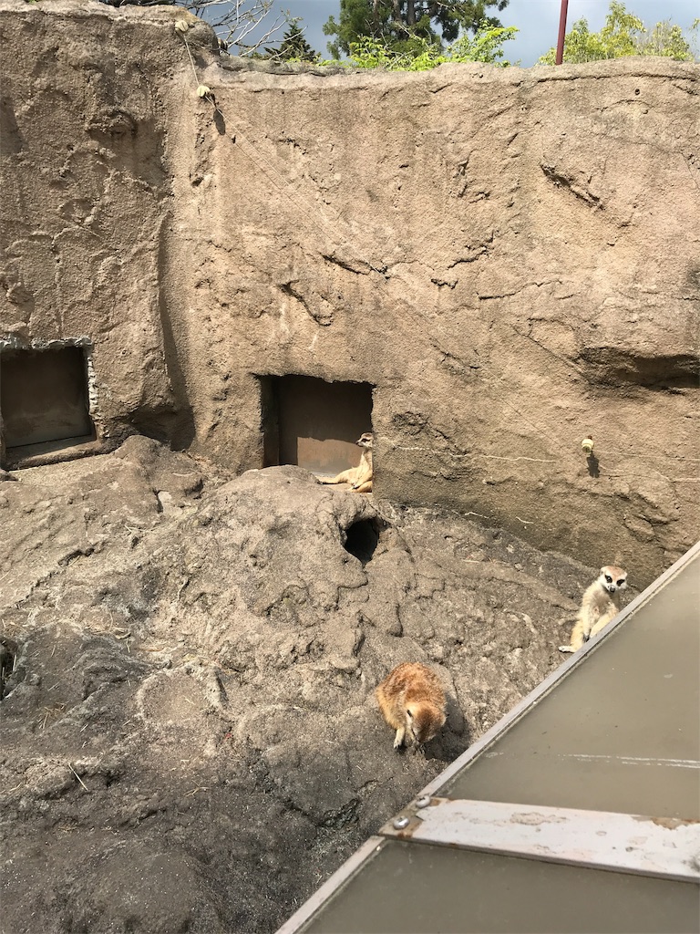 f:id:happy-rice-factory:20190517031406j:image f:id:happy-rice-factory:20190517031406j:image