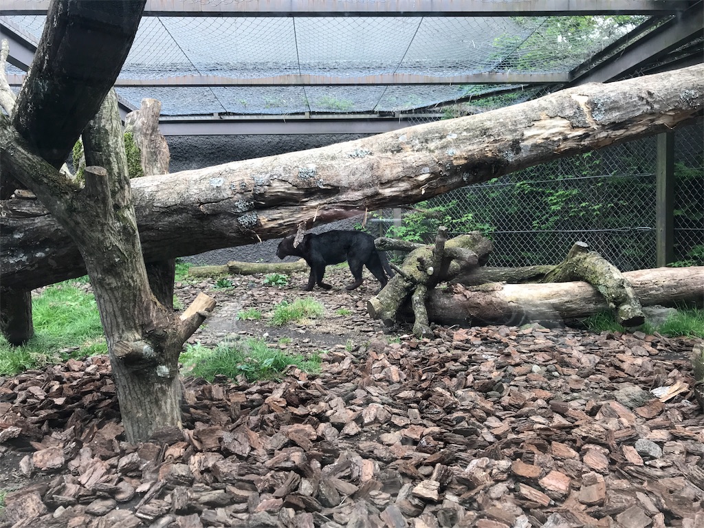 f:id:happy-rice-factory:20190517031420j:image f:id:happy-rice-factory:20190517031420j:image
