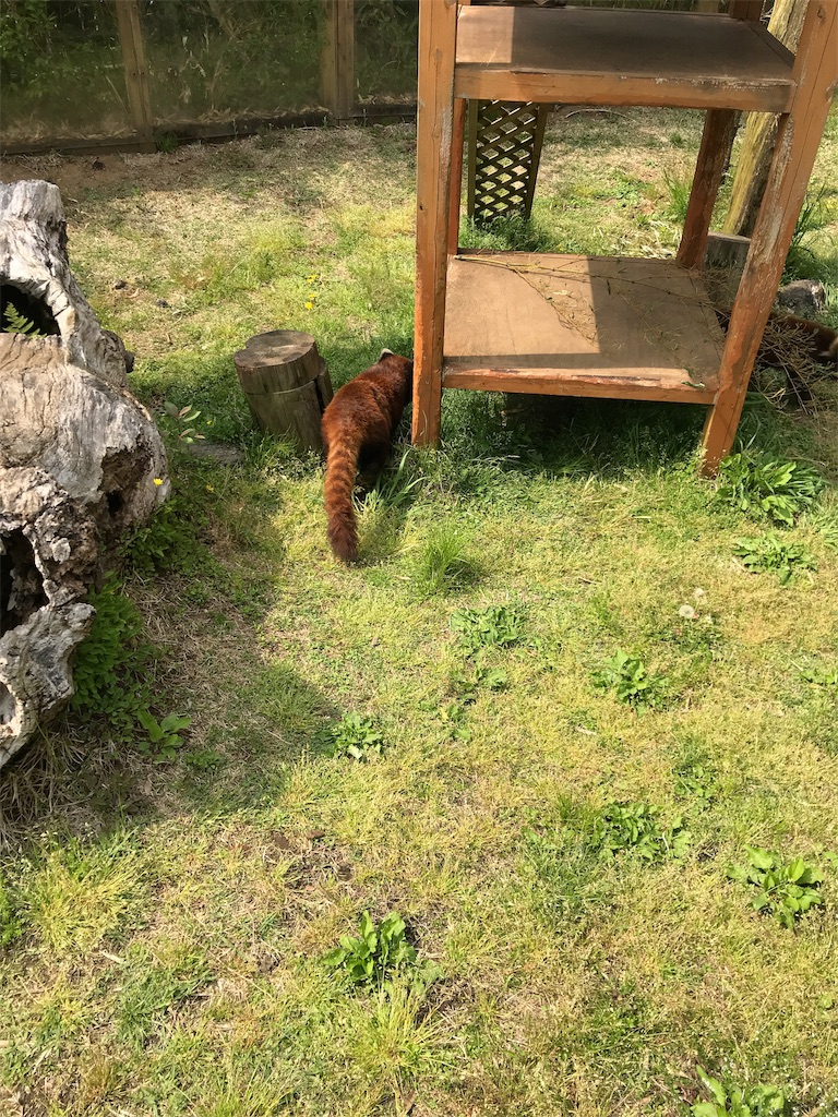 f:id:happy-rice-factory:20190517032429j:image f:id:happy-rice-factory:20190517032429j:image