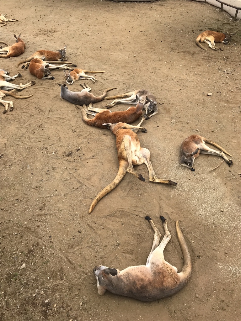 f:id:happy-rice-factory:20190517032453j:image f:id:happy-rice-factory:20190517032453j:image