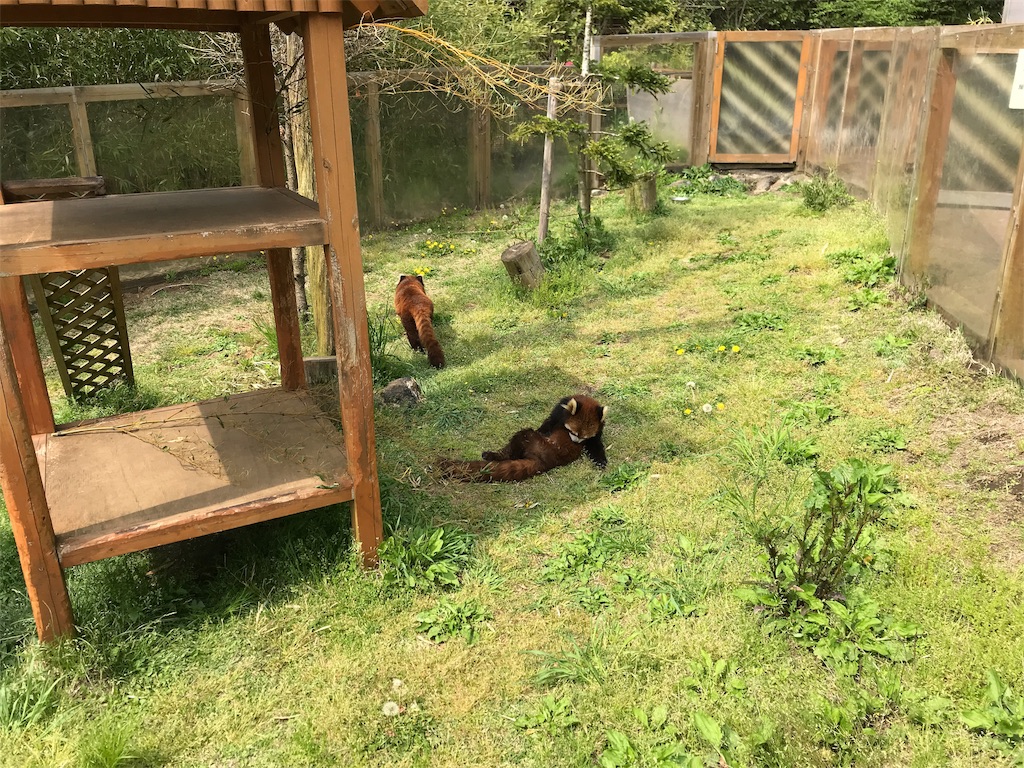 f:id:happy-rice-factory:20190517032456j:image f:id:happy-rice-factory:20190517032456j:image