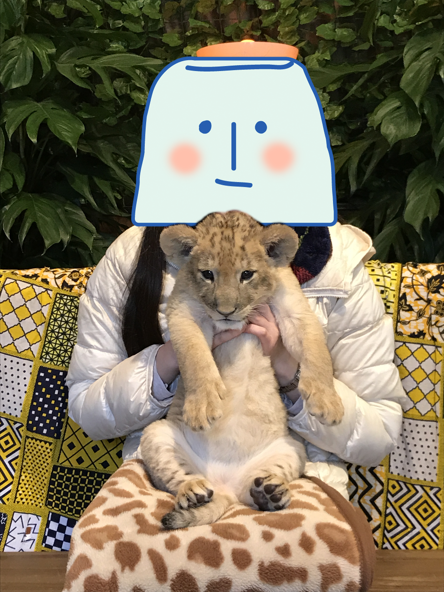 f:id:happy-rice-factory:20190517194648p:plain f:id:happy-rice-factory:20190517194648p:plain