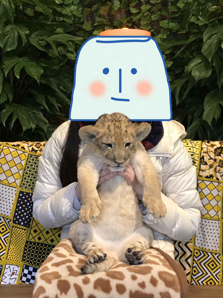 f:id:happy-rice-factory:20190517195529p:plain f:id:happy-rice-factory:20190517195529p:plain