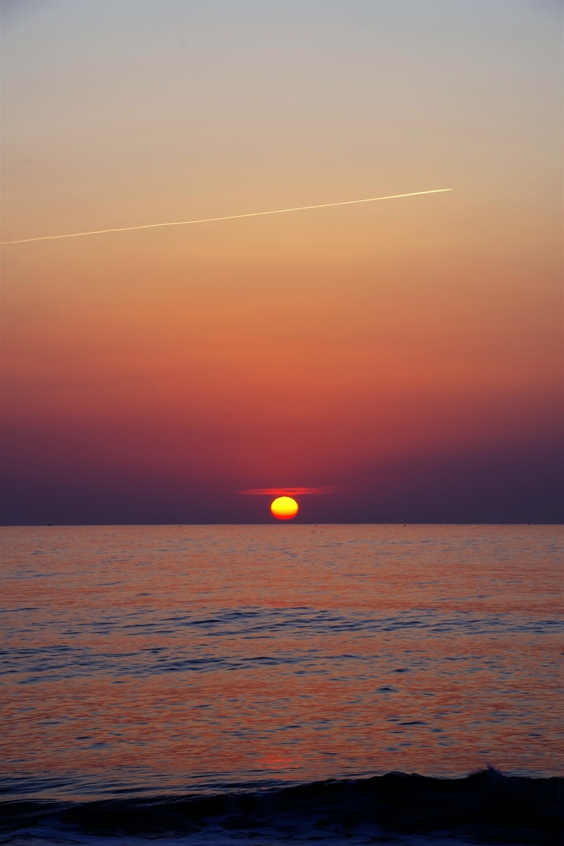 f:id:happy-ruw:20210306163352j:plain