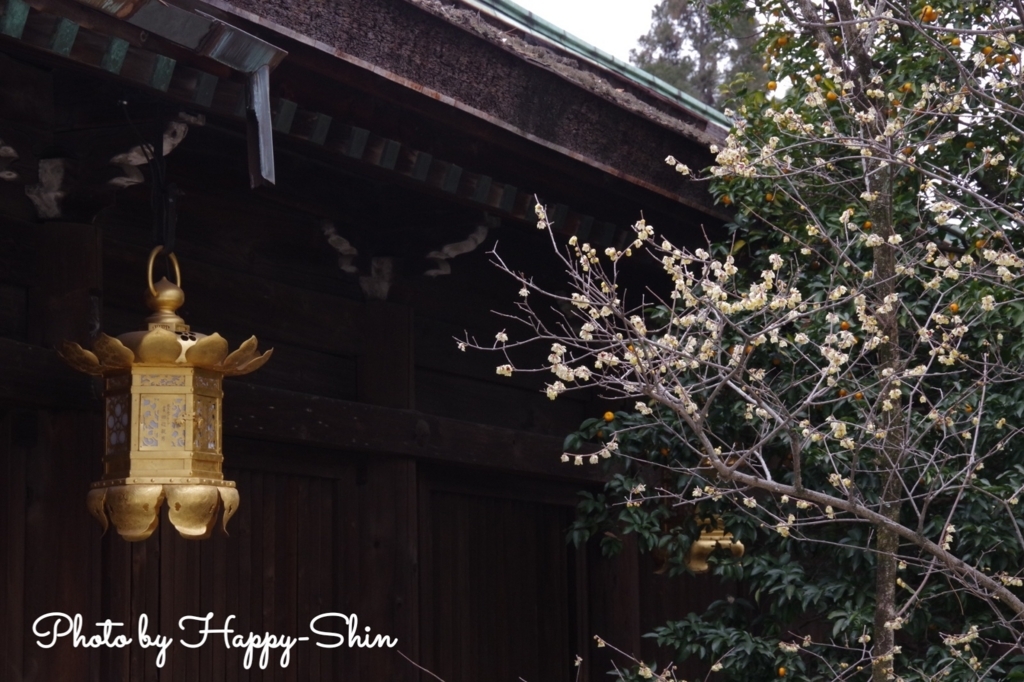 f:id:happy-shin-kyoto:20180225230403j:plain f:id:happy-shin-kyoto:20180225230403j:plain
