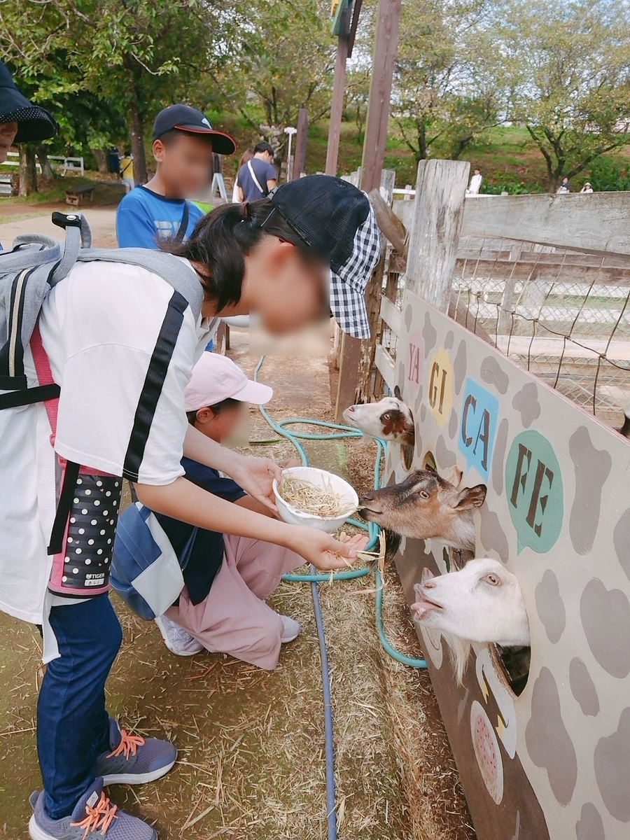 成田ゆめ牧場