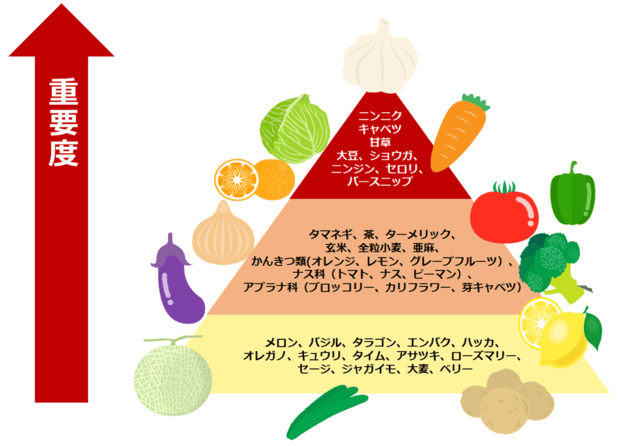 デザイナーフーズ