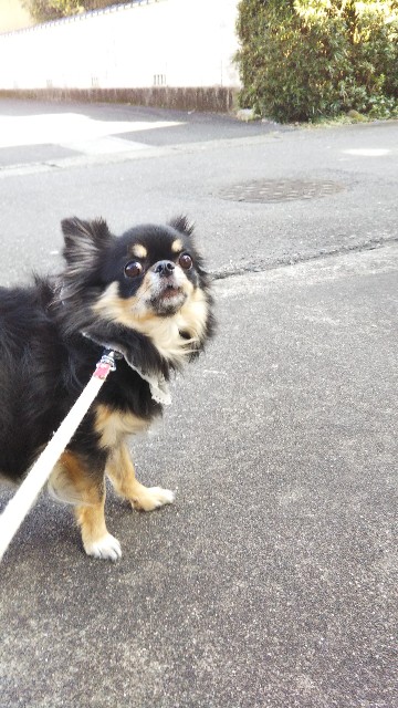 f:id:happy7kun:20201030210741j:plain