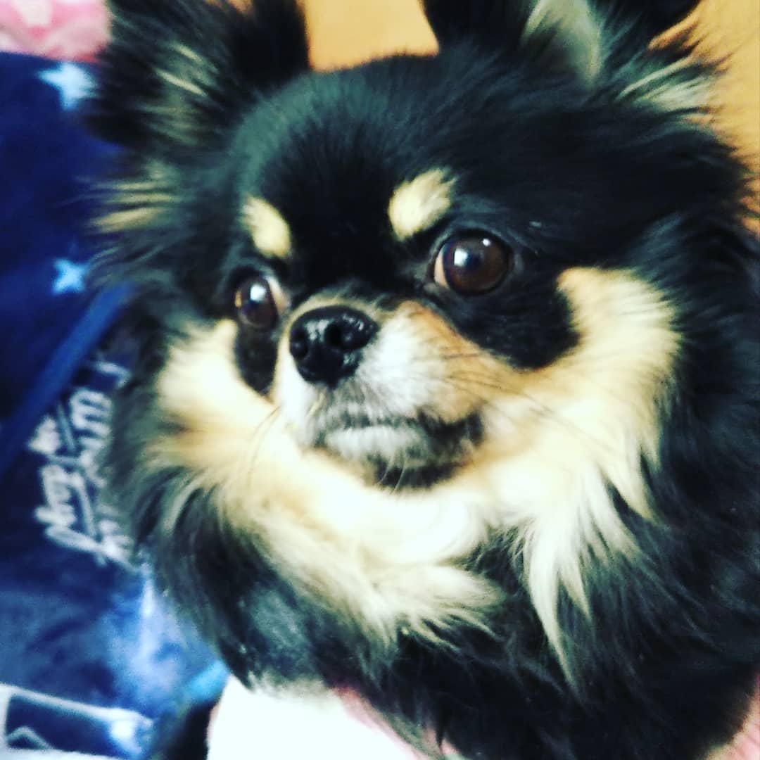 f:id:happy7kun:20201203175058j:plain