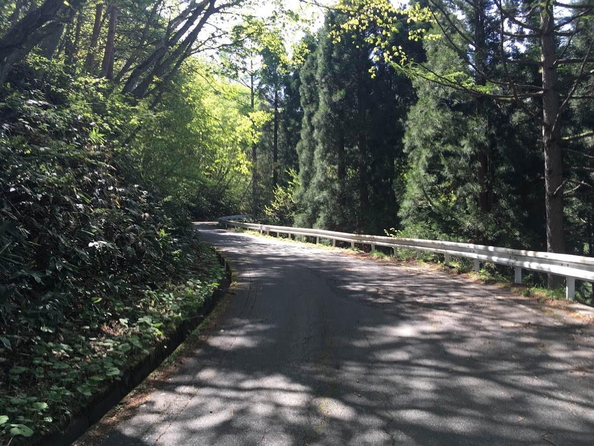 f:id:happyBiking:20190528135106j:plain