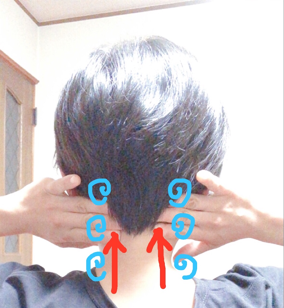 f:id:happy_2525:20201029220325j:image