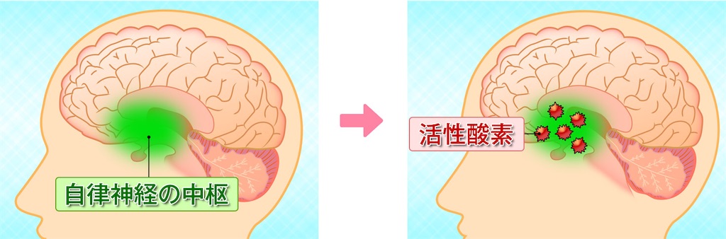 f:id:happy_2525:20201215192542j:image