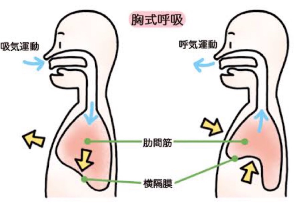 f:id:happy_2525:20210104164910j:image