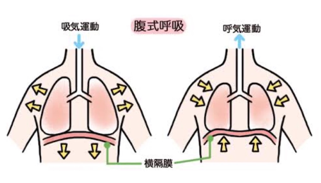 f:id:happy_2525:20210104164921j:image
