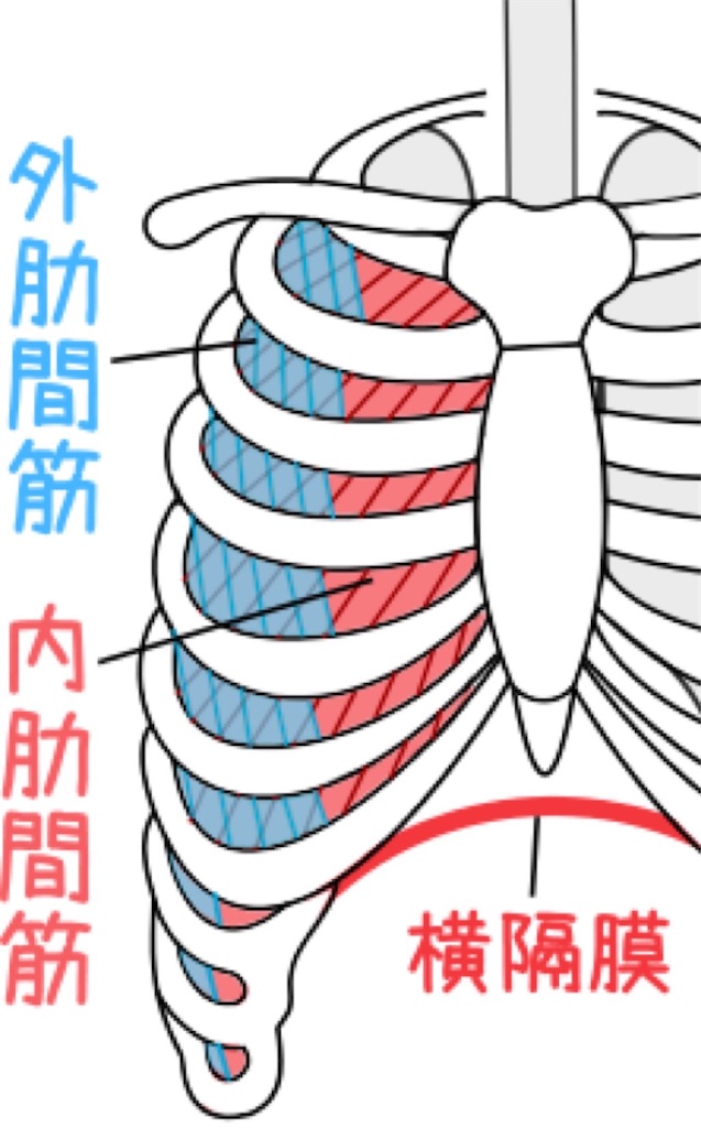 f:id:happy_2525:20210104180223j:image