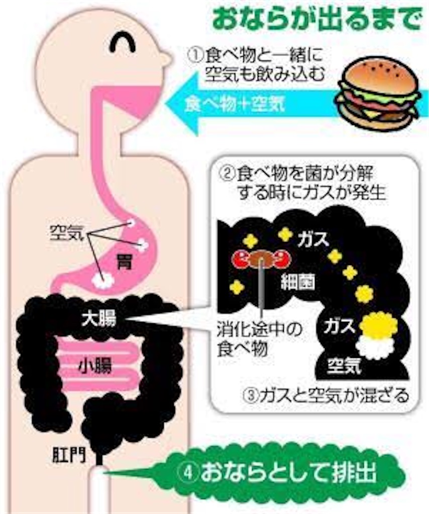 f:id:happy_2525:20210116075755j:image