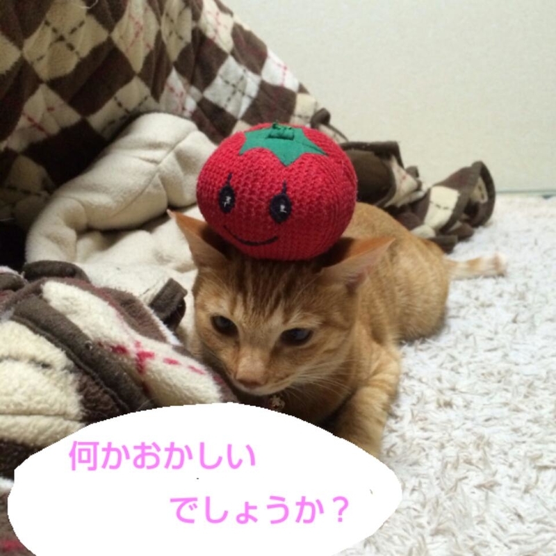 イメージ 2