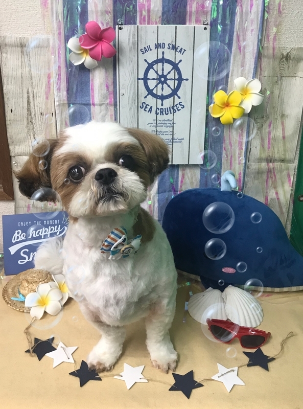 イメージ 1