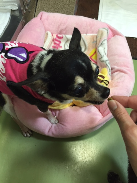 イメージ 9