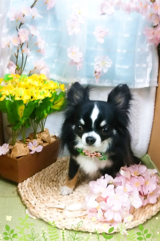イメージ 3