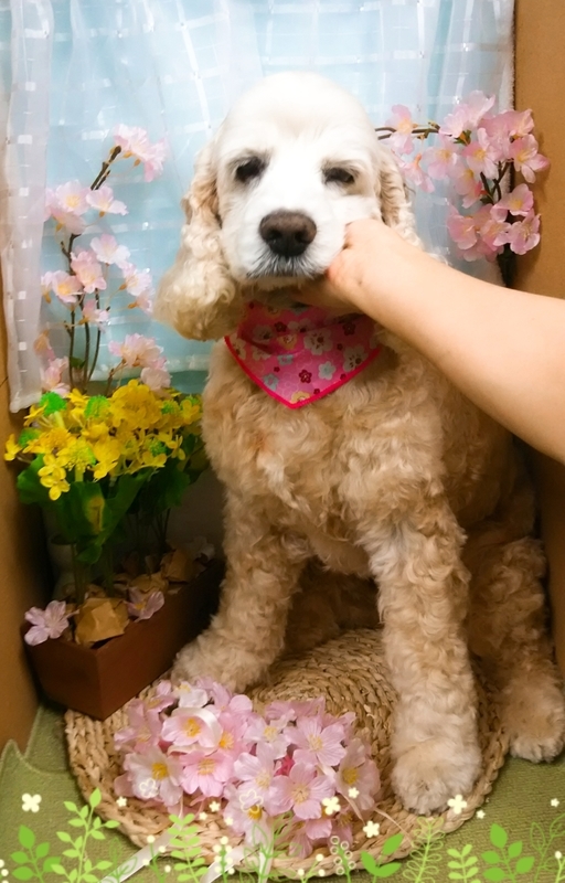 イメージ 5